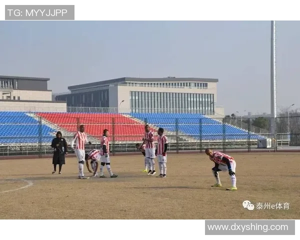 任丘篮球热潮席卷全城青少年积极参与提升竞技水平与团队精神