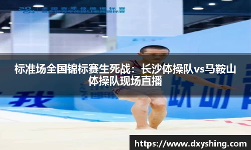 必博bibo