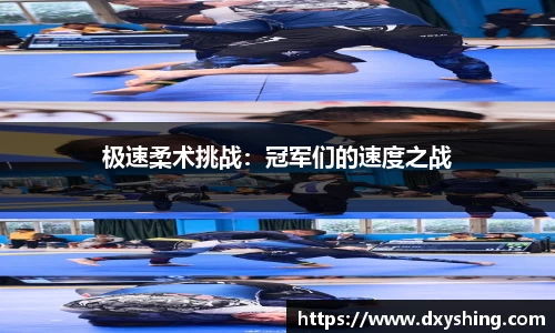 必博bibo平台