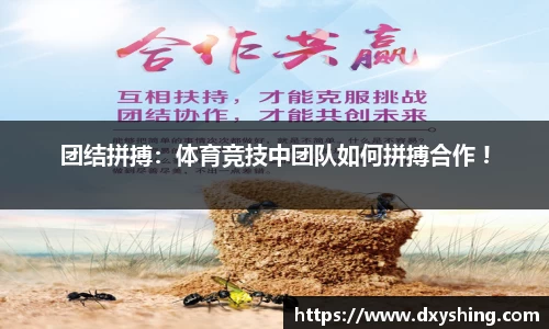 必博bibo